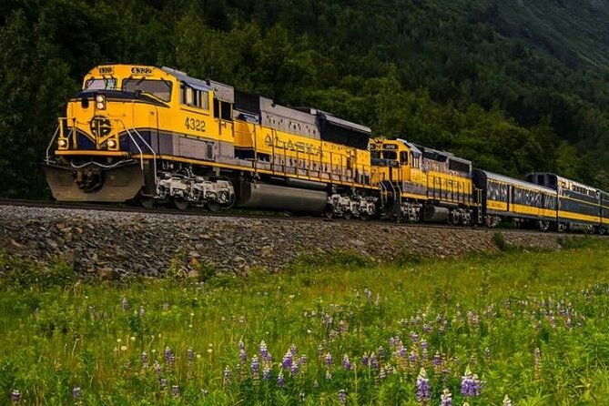 alaska-railroad-fairbanks-to-denali-one-way-2