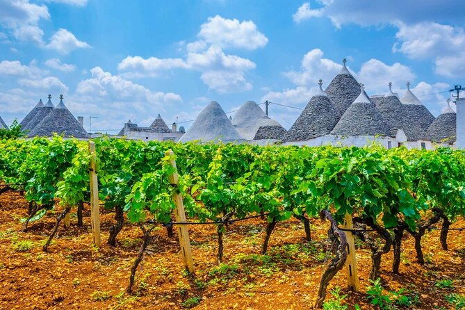 alberobello-and-wine-food-tasting-private-tour