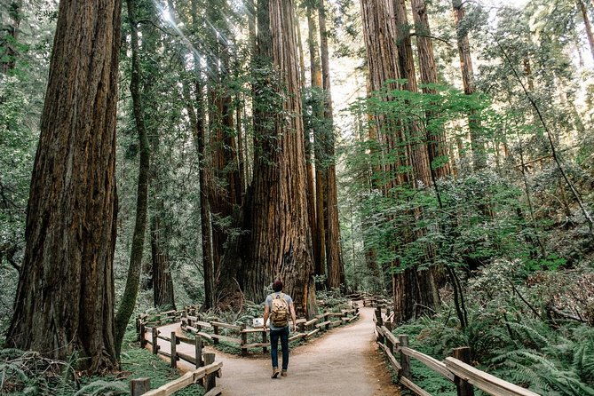 alcatraz-tour-plus-muir-woods-and-sausalito-day-trip
