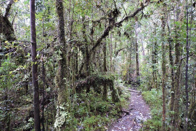 alerce-andino-park-with-las-chaicas-sector-private