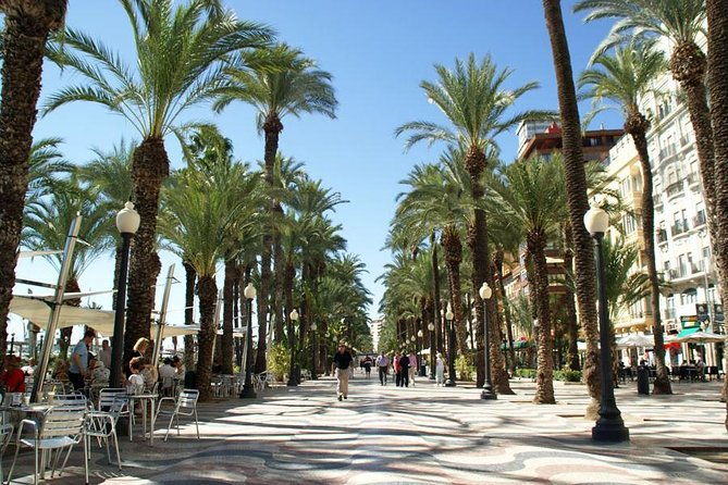 alicante-half-day-private-tour-with-transfers