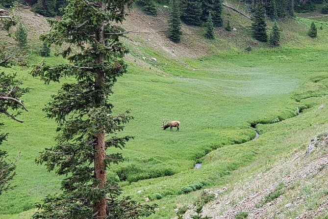 all-day-rocky-mountain-national-park-to-grand-lake-tour