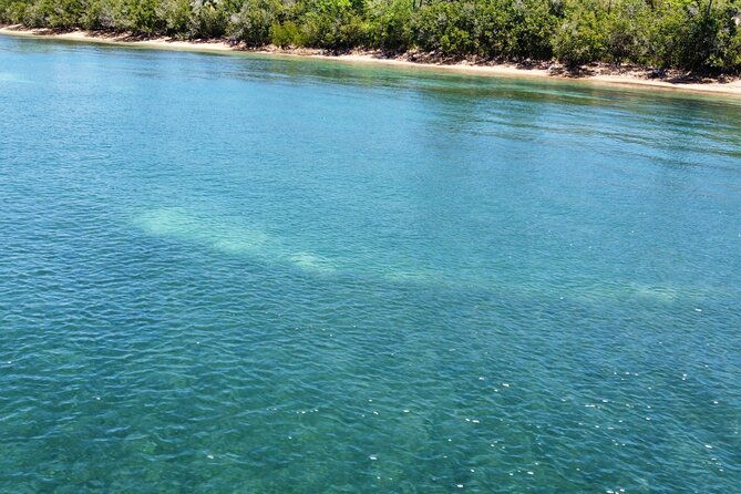 all-day-snorkeling-gear-rental-in-puerto-rico