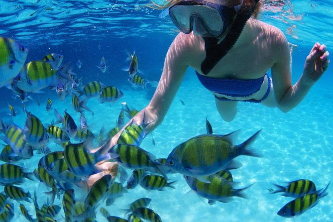 all-inclusive-san-blas-islands-day-tour-from-panama-city