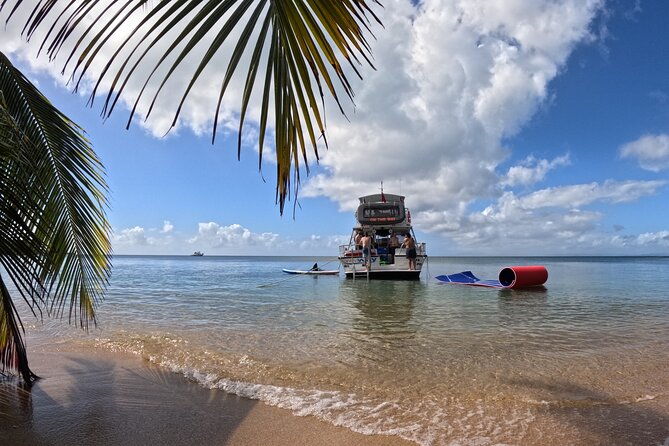 all-inclusive-vieques-swim-with-turtles-pristine-beaches-await