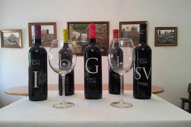 almeria-visit-to-eco-winery-cortijo-el-cura-and-wine-tasting