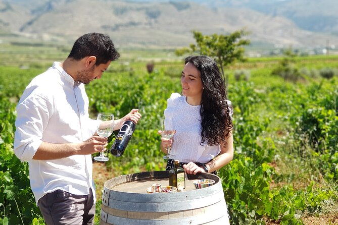 almeria-wine-tour-and-tasting-in-english-in-bio-winery