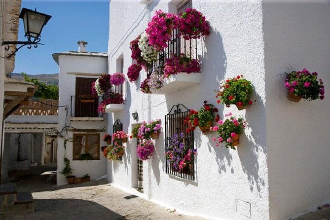 alpujarras-day-trip-private-or-small-tour