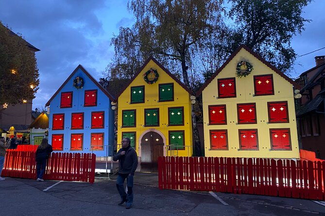 alsace-christmas-markets-fairy-tale-villages-private-tour-from-strasbourg-2