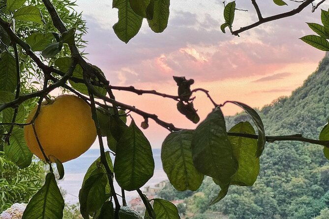 amalfi-lemon-tour-tasting-in-historical-garden-2