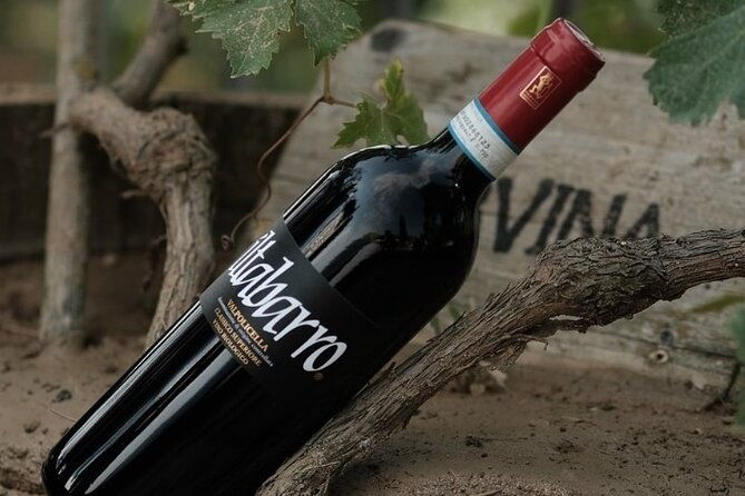 amarone-2005-wine-experience