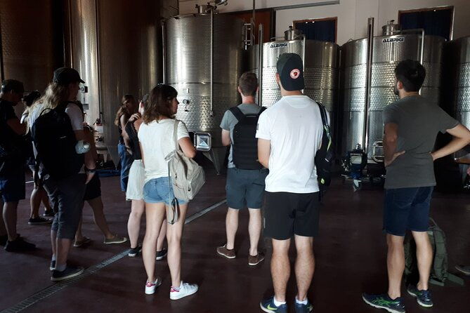 amarone-wine-tour-3