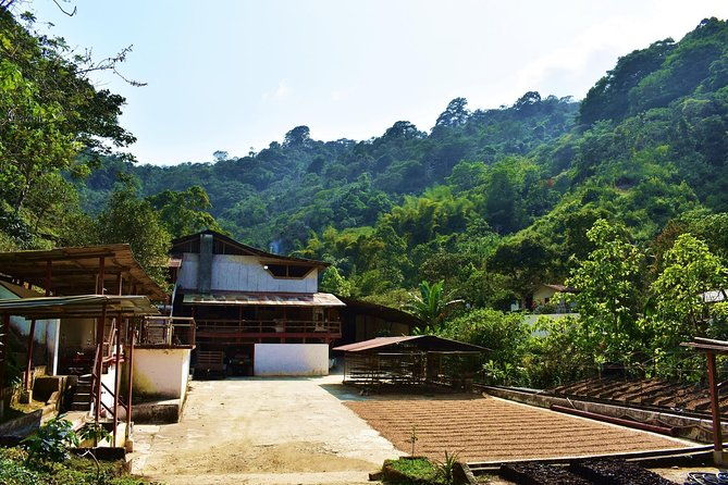 amazing-full-day-tour-to-minca-with-a-private-guide