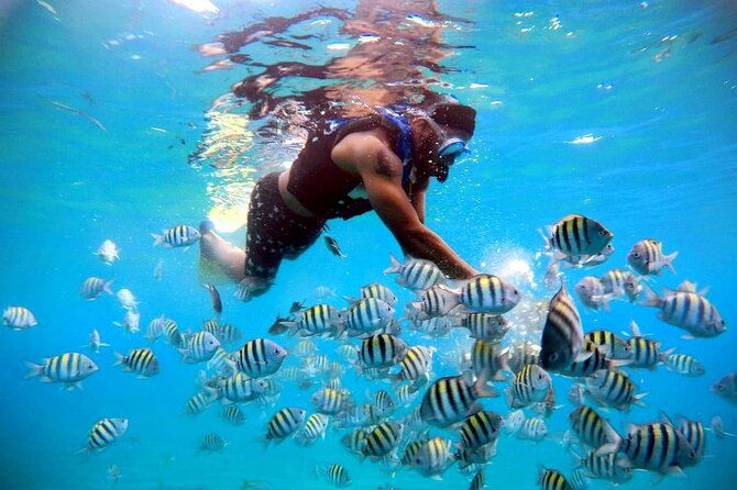 amazing-paradise-island-snorkeling-mangrove-tour-locale-food