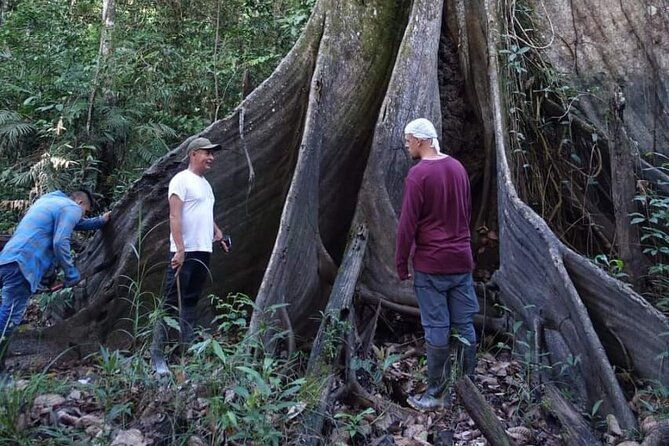 amazon-tour-adventure-3-days-2-nights-300-usd