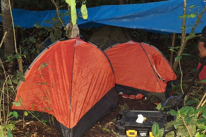 amazon-untamed-expedition-3-days-and-2-nights-pacaya-samiria