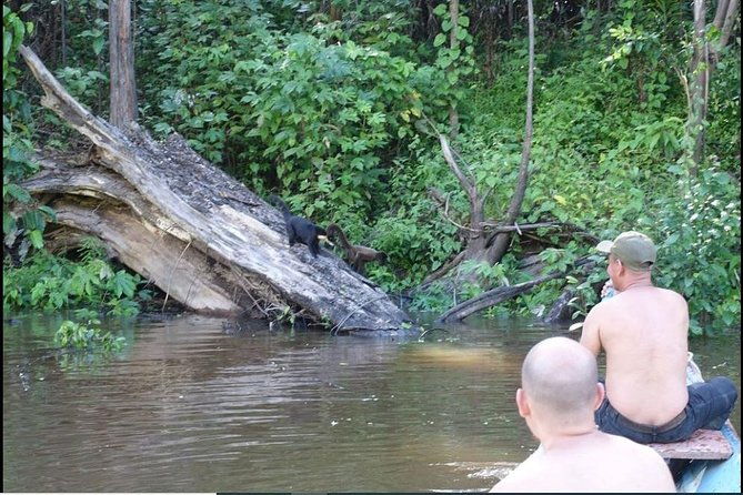 amazon-wildlife-excursions-2-days-1-night-220-usd