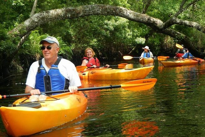 amelia-island-area-kayak-rental-on-lofton-creek-with-adventures-up-the-creek-2