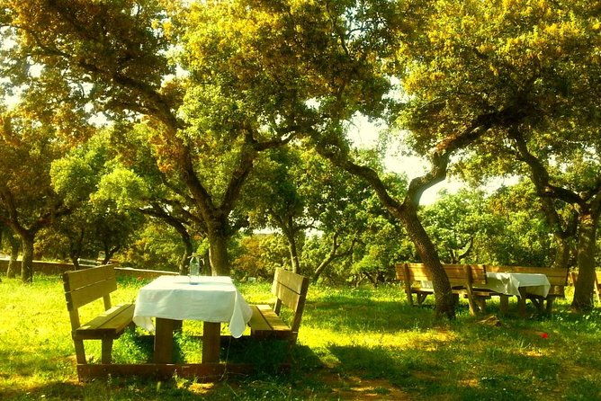 andalucia-bull-and-horse-farm-and-ronda-private-tour-from-malaga-2