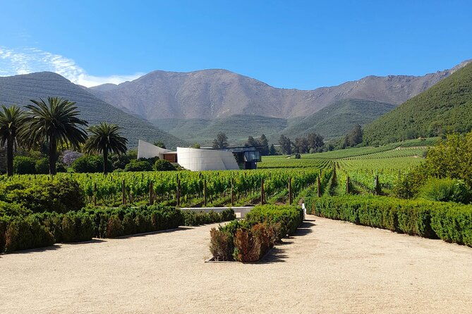 andes-portillo-aconcagua-premium-vineyard-tasting-semi-private