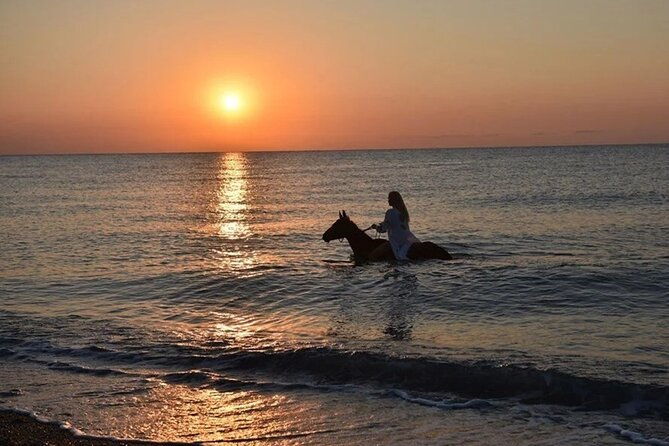 antalya-horse-riding-on-beach-and-through-the-forests-for-2-hours