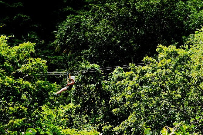 antigua-zipline-canopy-adventure-from-st-johns