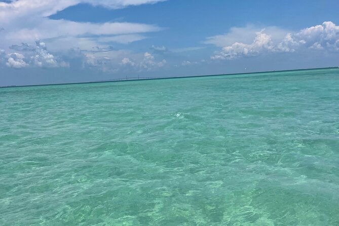 aqua-sol-adventures-4-5-hour-private-snorkelingdolphinshelling