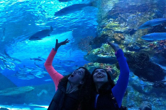 aquarium-face2face-wax-museumwith-hotel-transfer