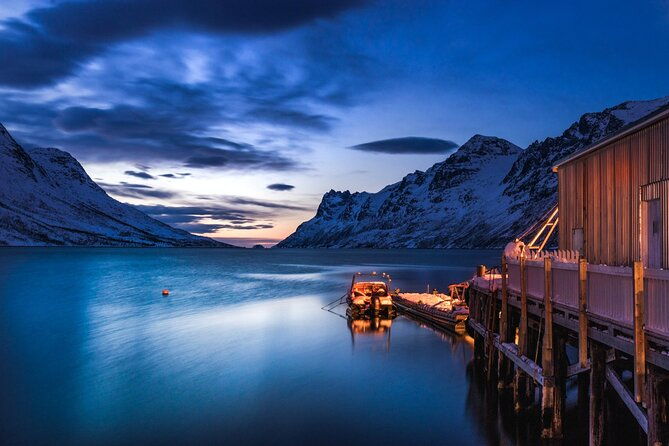 arctic-wildlife-and-fjord-sightseeing-2