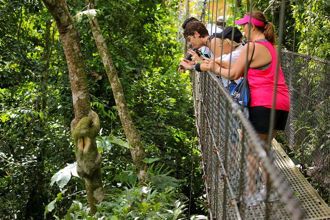 arenal-hanging-bridges-in-mistico-park