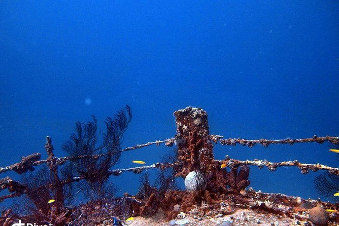 aruba-2-tank-guided-dive-for-certified-divers