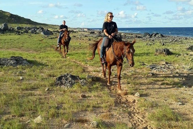 aruba-25-hrs-horseback-riding-for-advanced-riders