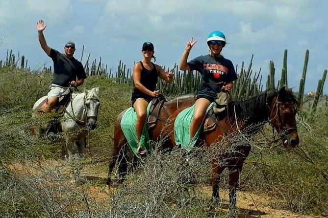aruba-countryside-horseback-adventure-to-urirama-cove