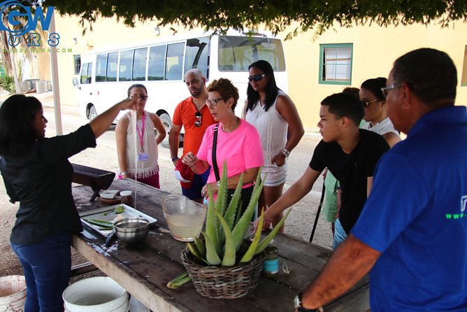 aruba-countryside-tour