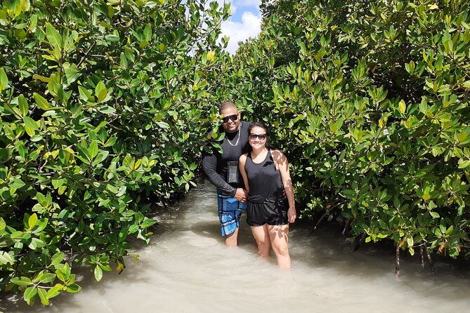 aruba-glass-bottom-kayak-tour-through-the-mangrove-forest