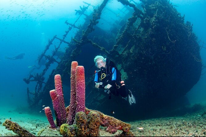 aruba-guided-night-dive-adventure-shallow-reefs-or-shipwrecks