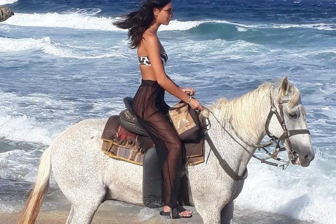 aruba-horseback-riding-tour-for-advanced-riders