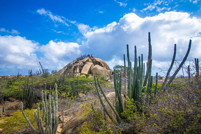 aruba-island-sightseeing-tour-plus-arashi-beach-visit