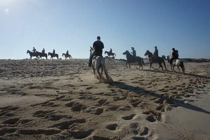 aruba-private-2-hour-horseback-riding-tour-for-advanced-riders
