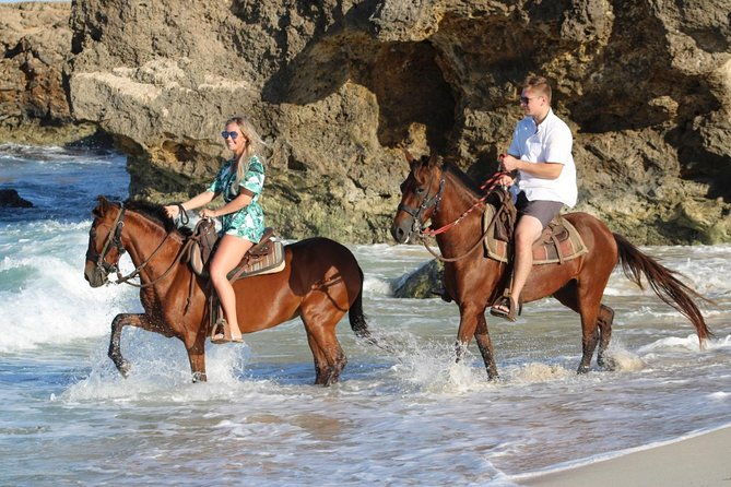 arubas-northern-coast-horseback-adventure