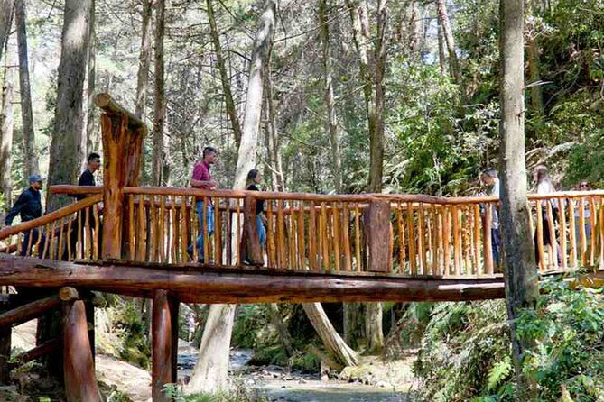 arvi-park-and-waterfalls-medellin-city-tour-5-hour