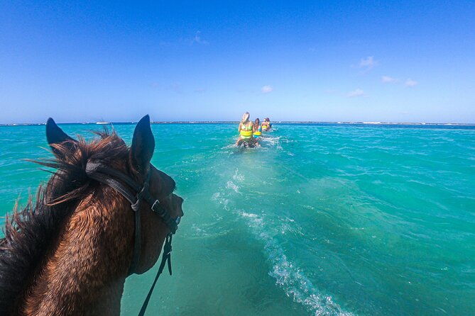 atv-horseback-with-dunns-climb-and-zipline-from-montego-bay