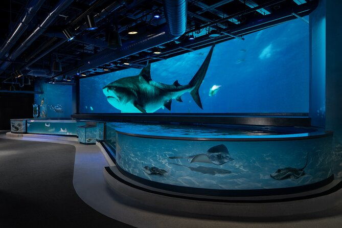 audubon-aquarium-insectarium-ticket-2