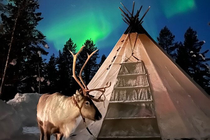 aurora-hunting-with-reindeer-caravan