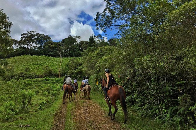 authentic-colombian-horseback-ride