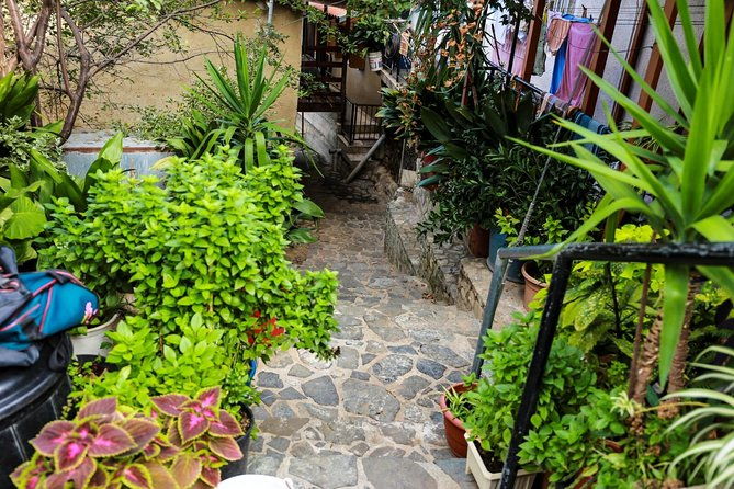 authentic-gourmet-tour-with-wine-and-food-tasting-from-paphos