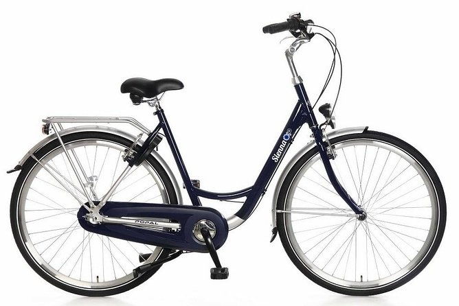 aveiro-bike-rental-5-8-hours