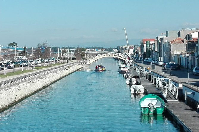 aveiro-costa-nova-beach-and-moliceiro-boat-half-day-from-coimbra-3