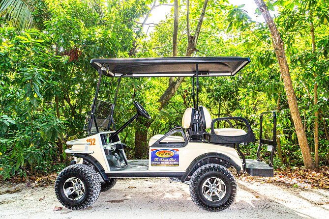 avis-golf-cart-rental-ltd-island-explore