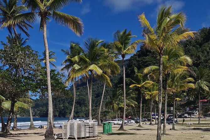 avocat-waterfall-tour-beach-stop-adventure